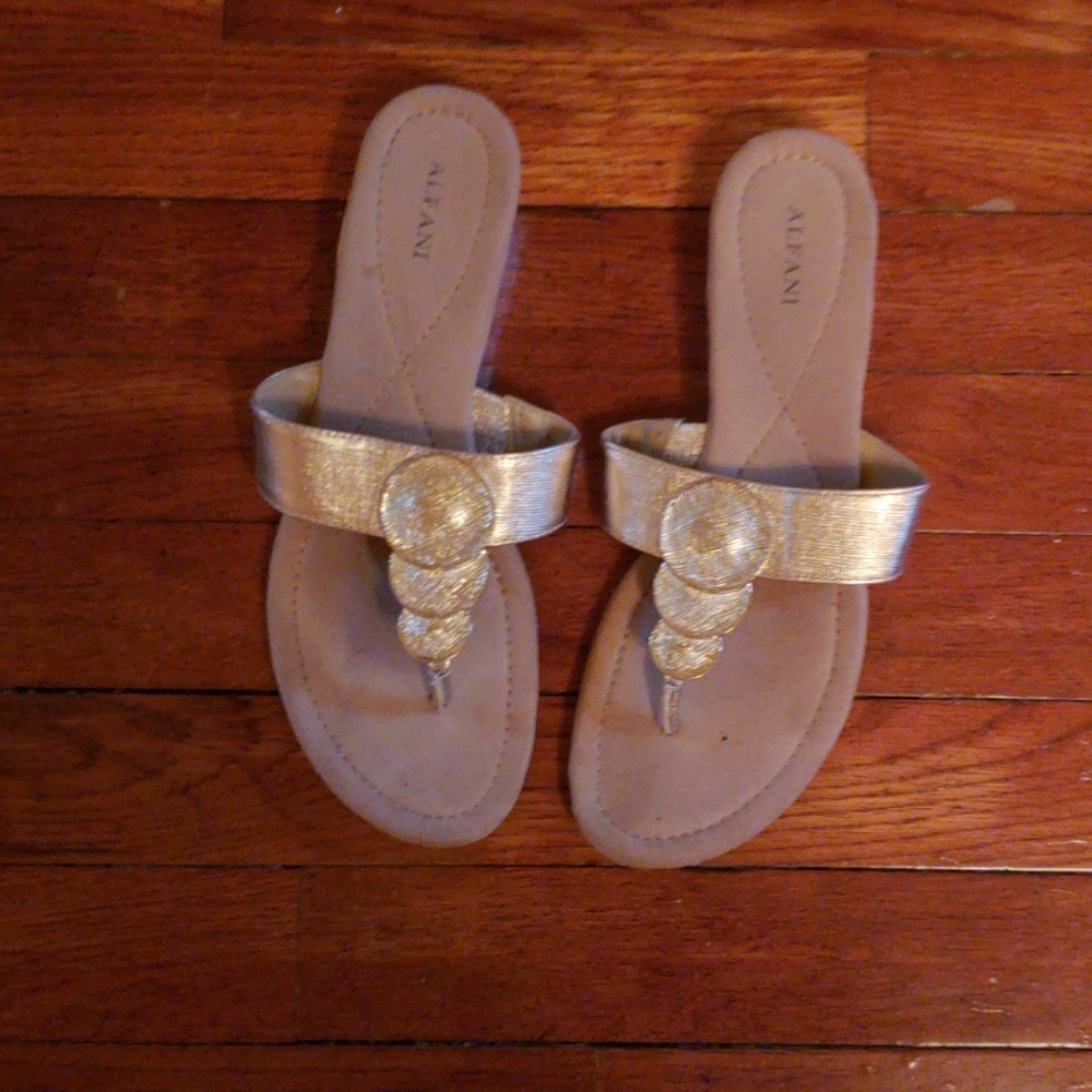 Gold slipper